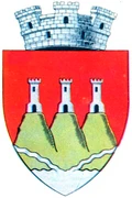stemă ADJUD, Vrancea