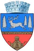 stemă BACAU, Bacău