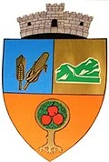stemă BACIU, Cluj