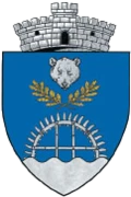 stemă BASCOV, Argeș
