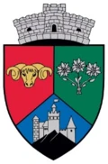 stemă BRAN, Brașov