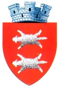 stemă BUHUSI, Bacău