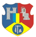 stemă DEJ, Cluj
