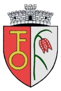 stemă HARMAN, Brașov