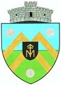 stemă HELESTENI, Iași
