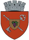 stemă HUSI, Vaslui
