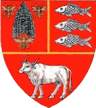 stemă județ Vaslui