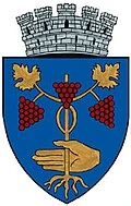 stemă MEDIAS, Sibiu