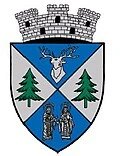 stemă NEHOIU, Buzău