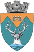 stemă NOVACI, Gorj
