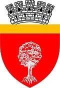 stemă ONESTI, Bacău