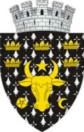 stemă RADAUTI, Suceava