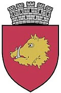 stemă ROMAN, Neamț