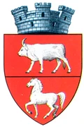 stemă SAVENI, Botoșani