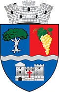 stemă SIMLEU SILVANIEI, Sălaj