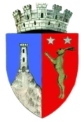 stemă TECUCI, Galați